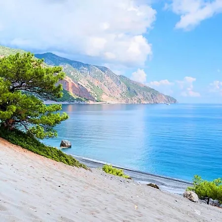 فيلة Major خانيا